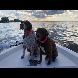 Meet your Posher, Savannah